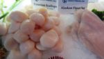 US scallop market has 'pushed back' yet views mixed on 2015 price relief