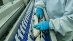 Russian Sea confident about second half despite sanctions, as H1 profit soars on 19% salmon sales hike