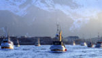 Norway January seafood exports fall despite growth in bacalhau