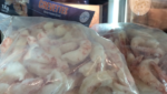 Belgium firm invests in Argentinian shrimp