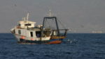 Hake, shrimp trawlers banned from newly protected area in Balearic Islands