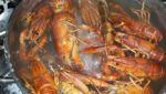 African lake's multimillion dollar crayfish fishery awaits entrepreneur