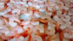  Farmed warmwater shrimp from China.  Photo: Undercurrent News