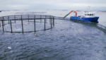 Aquaexcel partner Sintef runs a full-scale fish farm in Norway that is available for aquaculture research