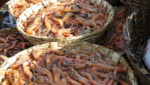 American shrimp producers concerned over Oceana report