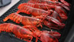 Thai Union’s COSFF joins MSC Maine lobster group