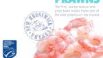 Big Prawn tells provenance story on Canadian, Indonesian shrimp products