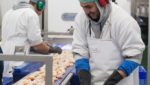 UK scallop processor invests £4m to double capacity