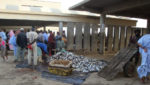 Fish market Nouakchott, Mauritania