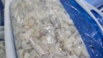 Ecuadorian shrimp processor Fortumar for sale