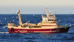 Norwegian fishing firm Roaldnes plans to move into FAS fillet production