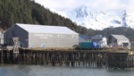 Copper River interested in buying Icicle in full
