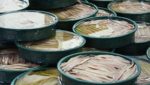 Mercadona anchovy, sardine supplier embarks on €8m expansion