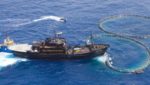 Sea Shepherd cleared after 2010 armed raid on bluefin tuna pens