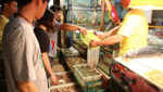 Chinese think lower shrimp prices will continue for much of year