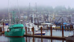 West Coast shrimp boats remain in port as fleet, packers can't agree on prices