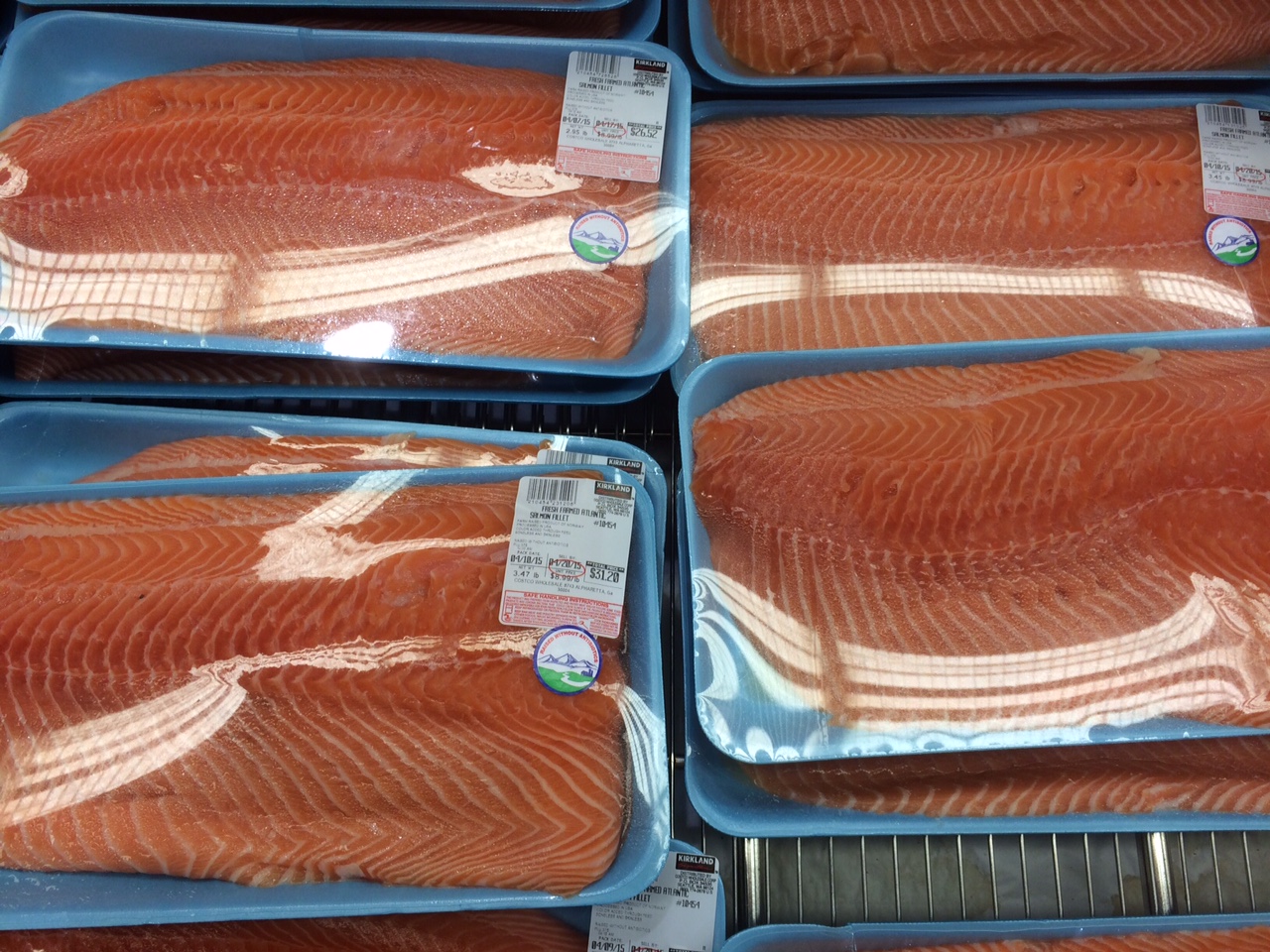 Chilean salmon disappearing from Costco stores as Sam's Club slashes price  - Undercurrent News