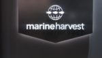 Marine Harvest logo.