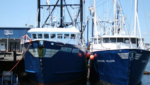 Harbor Blue scallop vessels