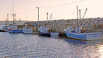 Fishing vessels in Fox Point, Nova Scotia, Canada