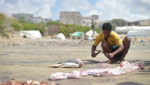 Fisherman in Barawe, Somalia