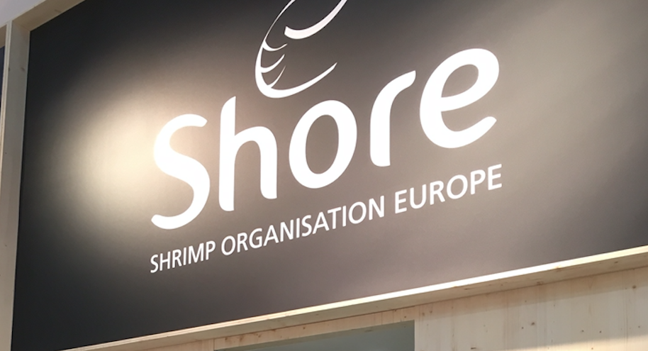  Shore shrimp group, Morubel Ristic
