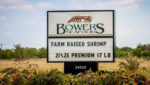 Bowers US shrimp