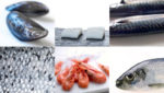 Norwegian seafood salmon whitefish pelagics