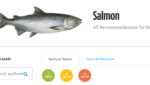 Seafood Watch salmon