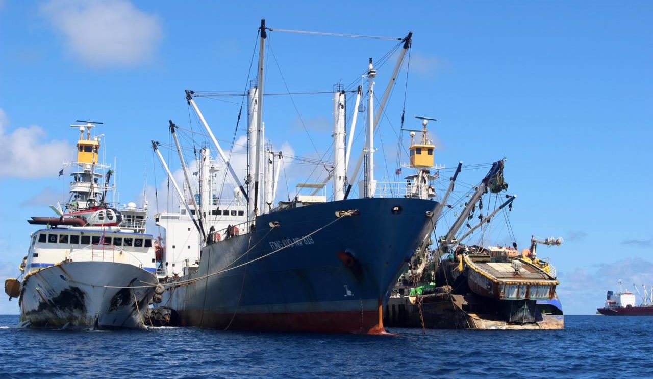 Trouble In Msc Tuna Paradise As Png Seeks To Break From Pacifical 