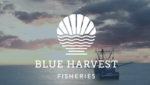 Blue Harvest Fisheries