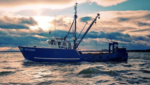 Blue Harvest Fisheries vessel