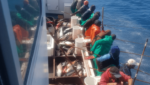 Pole-and-line fishing in South Africa. Copyright: South African Tuna Association