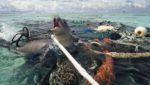 Seal trapped in ocean-bound plastic