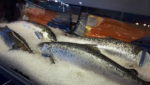 Loch Duart farmed salmon. Credit: Neil Ramsden, Undercurrent News