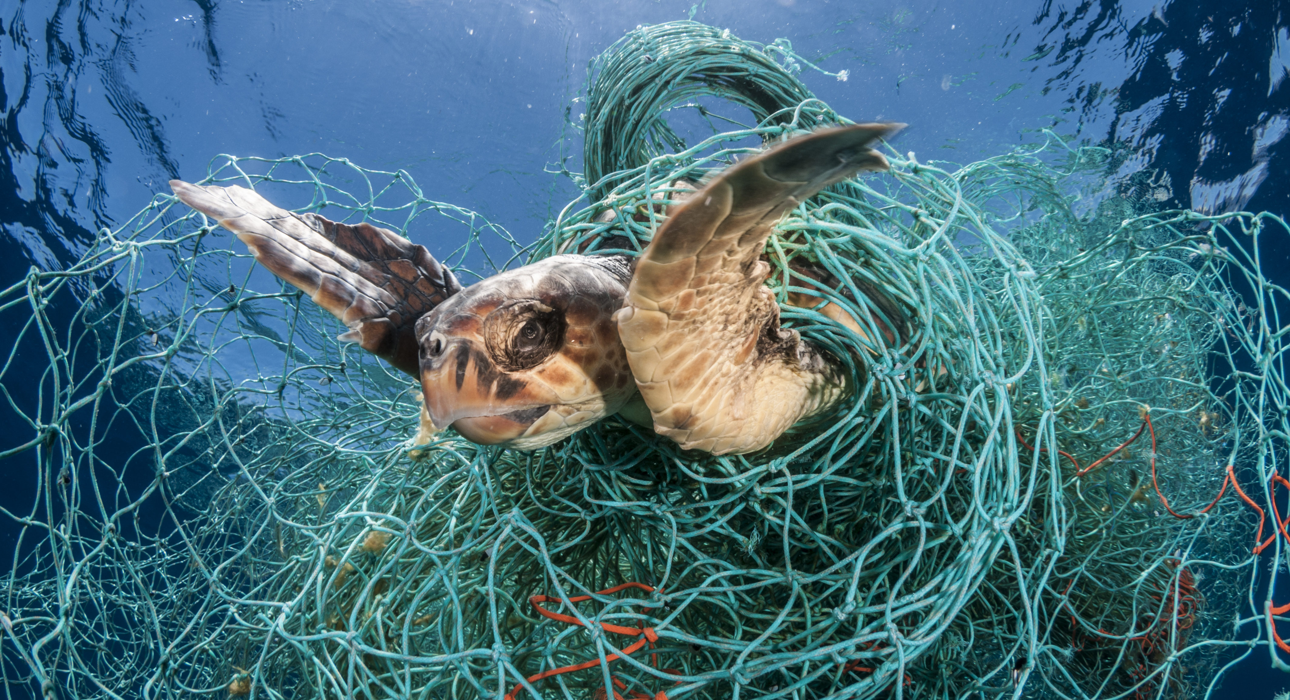 Fishermen clean up 'ghost gear' from Bay of Fundy