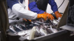 Russian Fishery Company Russian pollock