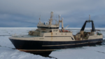 The Acadienne Gale II, from a Polar video made in 2018