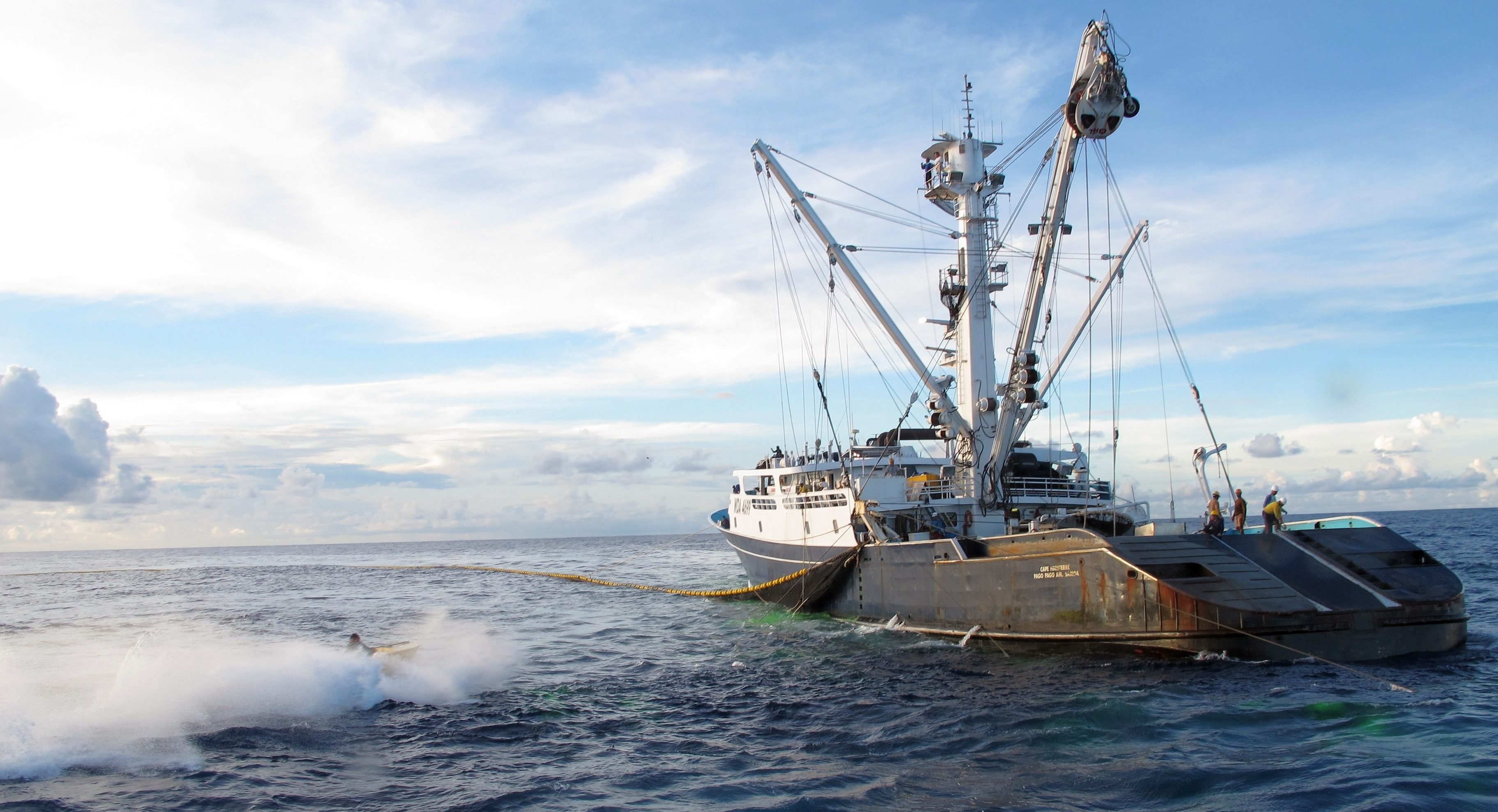 ISSF study reports drop in purse seine vessels targeting tropical tuna  worldwide - Undercurrent News