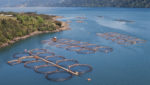  A salmon farm in Chile. Credit: MARCELODLT/Shutterstock.com