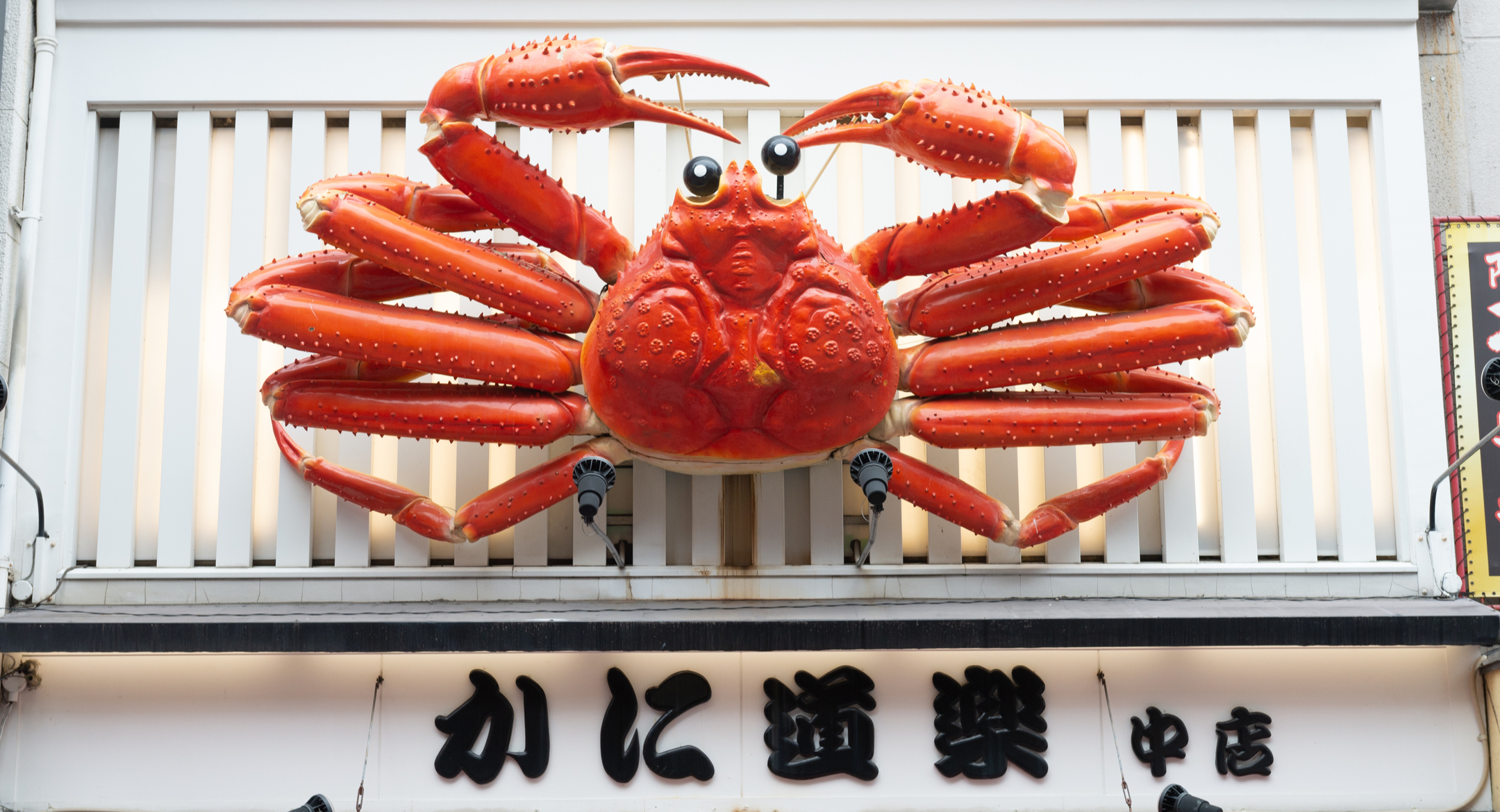  A giant snow crab above the entrance of a restaurant in Japan.  Credit: robbin lee/Shutterstock.com