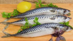 Atlantic mackerel. Credit: anmbph/Shutterstock.com