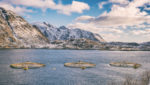 Salmon farm near Lofoten Islands, northern Norway. Credit: Uhryn Larysa/Shutterstock.com