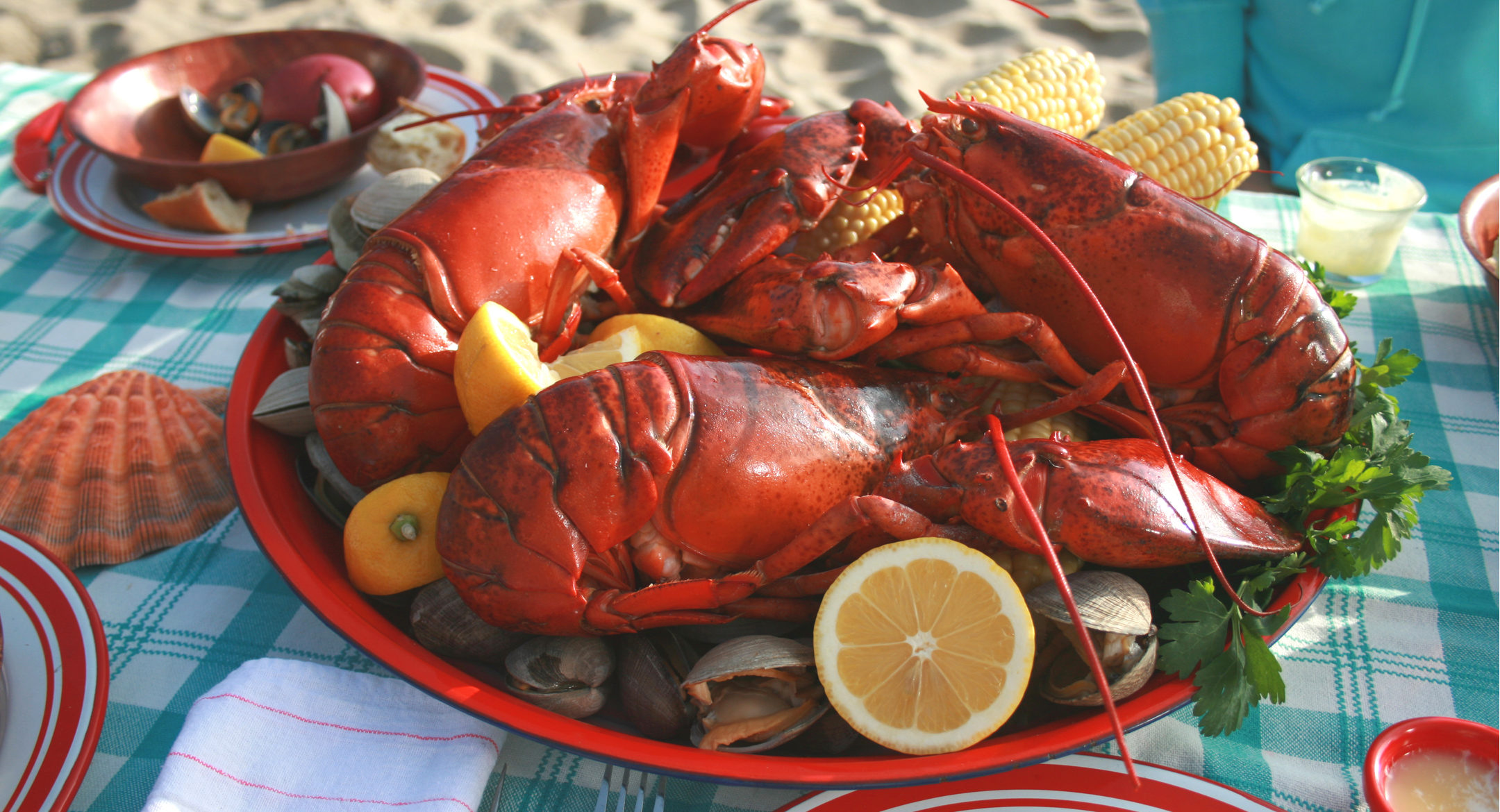 Newport Lobster of Rhode Island acquired by investment firm