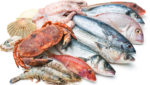 Pelagic fish and crustaceans. Credit: Alexander Raths/Shutterstock.com