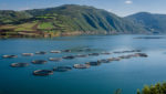 Fish farms on the Kizilirmak River, Turkey. Source: capa55/Shutterstock.com