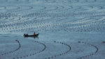 Chinese fishermen at a marine aquaculture farm in Lushunkou, Dalian, Yellow Sea. Credit: Wang Junqi/Shutterstock.com