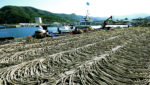 Preparation ahead of fishing trip in Hokkaido, Otaru in Japan. Credit: tasch/Shutterstock.com