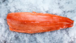 Fresh salmon fillet on ice. Credit: Ostancov Vladislav/Shutterstock.com