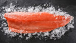 Fresh salmon fillet on ice. Credit: Jukov studio/Shutterstock.com